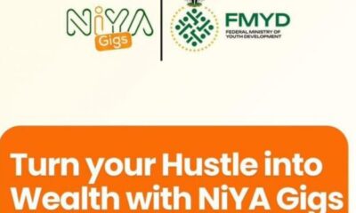 Call For Applications: Federal Government NIYA Gigs Program For Young Nigerians 2025