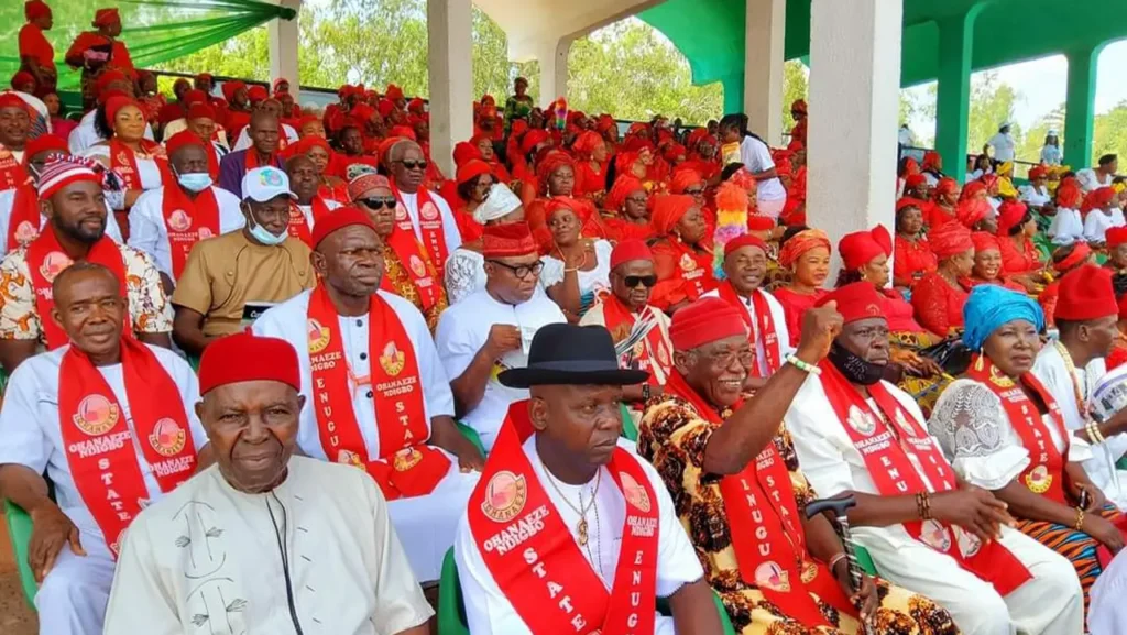 Ohanaeze Ndigbo Declares Intent to Join National Politics, Targets 2027 Elections