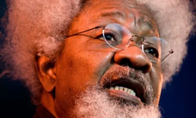 Amaechi gave Tinubu dose of his own medicine in 2022 – Wole Soyinka