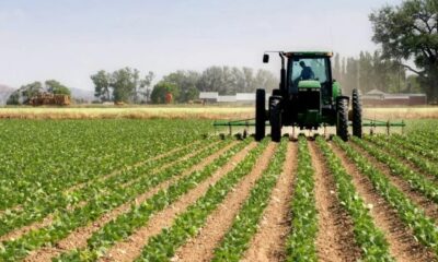 Nigeria Showcases Agricultural Ambitions at 2025 NAMPO Harvest Day in South Africa