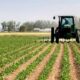 Nigeria Showcases Agricultural Ambitions at 2025 NAMPO Harvest Day in South Africa