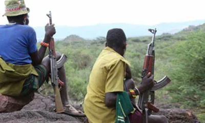 Panic in Chito Town as Armed Bandits Launch Devastating Midnight Raid