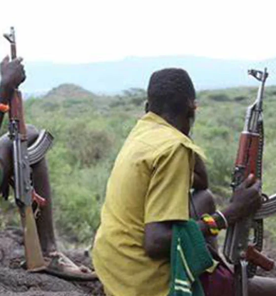 Panic in Chito Town as Armed Bandits Launch Devastating Midnight Raid