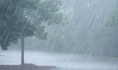 3-day thunderstorms, rains from Monday - NiMet forecasts