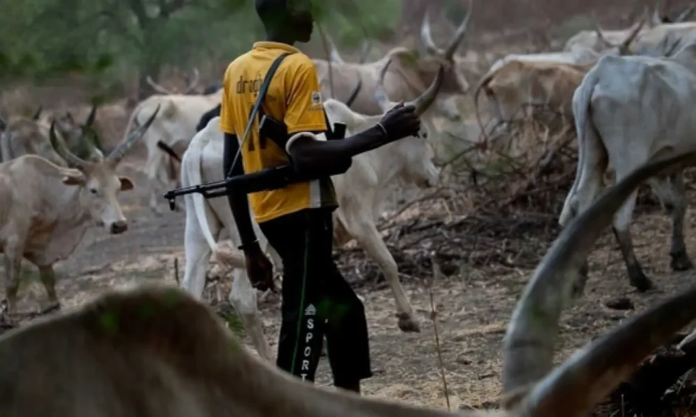 Suspected Herdsmen Attack Farmers in Ex-Governor Ortom’s Hometown