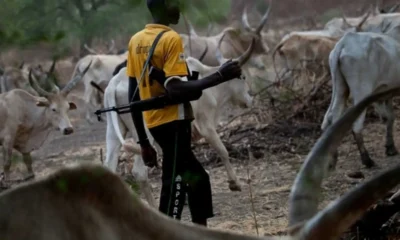 Suspected Herdsmen Attack Farmers in Ex-Governor Ortom’s Hometown
