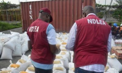 NDLEA to Launch Full Anti-Drug Control Operations at Benin Airport