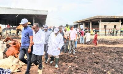 Lagos Shuts Down Abattoir Over UnHealthy Conditions, Traders Found Sleeping Among Animals