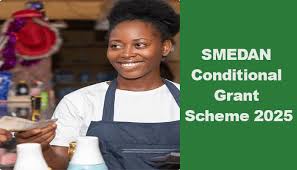 Call For Applications: SMEDAN ₦50K Conditional Grant Scheme for Micro Enterprises 2025
