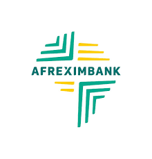 Afreximbank Defends Lending Strategy After Fitch Downgrade