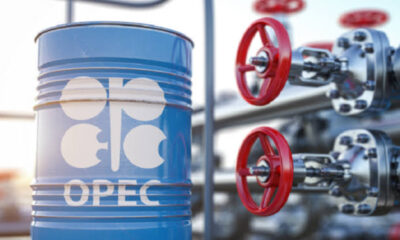 OPEC+ Raises Production Quota by 411,000 Barrels per Day ,Piling Pressure on Naira