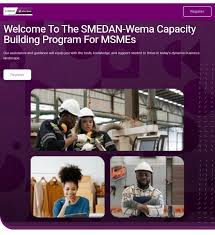 Call For Applications: SMEDAN – Wema Capacity Building Program for Nigerian Youths and MSMEs