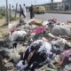 Lagos Issues N250,000 Fine or Jail for Illegal Waste Dumping, Cracks Down on Environmental Offences