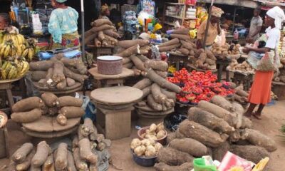 Rising Food Prices Dampen Eid-el-Kabir Celebrations Across Nigeria