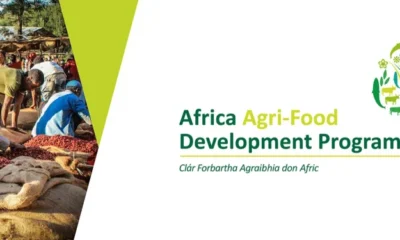 Call For Applications: Africa Agri-Food Development Program (AADP) Grant For SMEs