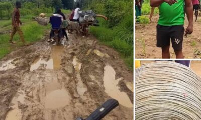 Ebonyi Village Lights Up with Self-Funded Electrification , Plans Road Construction