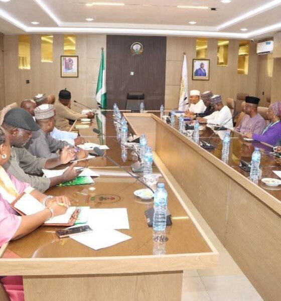 FG Introduces One-Year Training Mandatory for Graduates Before NYSC