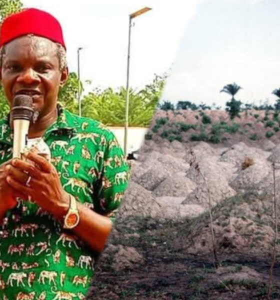 How Federal Lawmaker, Ogah Snatches Village Land in Ebonyi