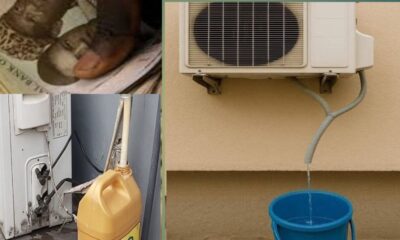 How to Make Millions Recycling AC Water