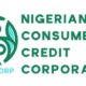 How to Apply for CREDICORP’s ₦100,000 Inventory Loan for Market Women