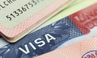 Beyond the USA: Seven Countries Offering Fast Visas For International Students