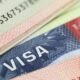 Beyond the USA: Seven Countries Offering Fast Visas For International Students