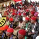 2027: ADC has stopped Nigeria from sliding into one-party state – Ohanaeze hails coalition