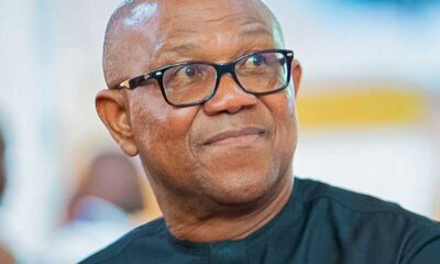 The North Will Celebrate My Presidency - Peter Obi