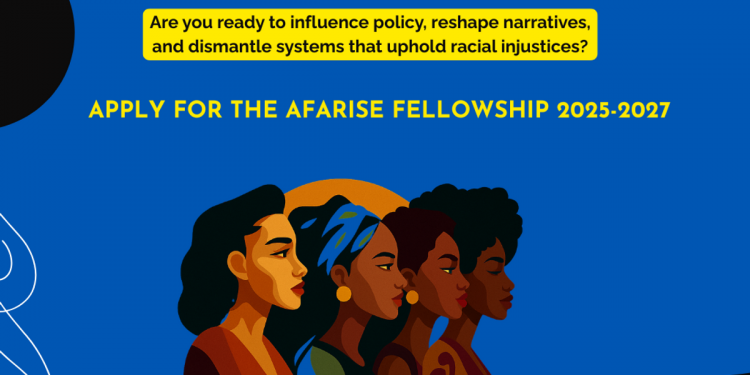 Call For Applications: African Futures Lab (AfaLab) Rise Fellowship Program 2025/2027 (A stipend of €200 per working session)