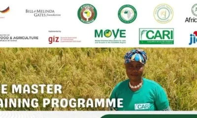 Call For Applications: Rice Miller Business Training (RMBT) Program and Business Development Support (BDS) Fully-Funded