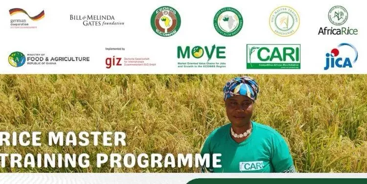 Call For Applications: Rice Miller Business Training (RMBT) Program and Business Development Support (BDS) Fully-Funded