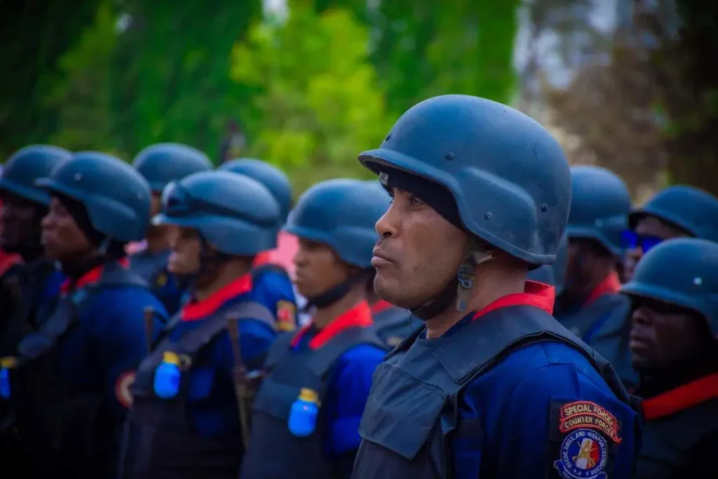 How to apply for 2025 civil defence, immigration, corrections, fire service jobs
